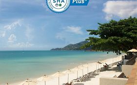 Chaweng Cove Beach Resort Koh Samui